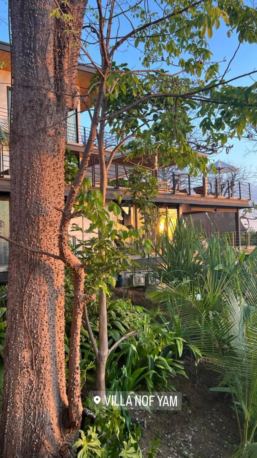 The villa tucked into the jungle