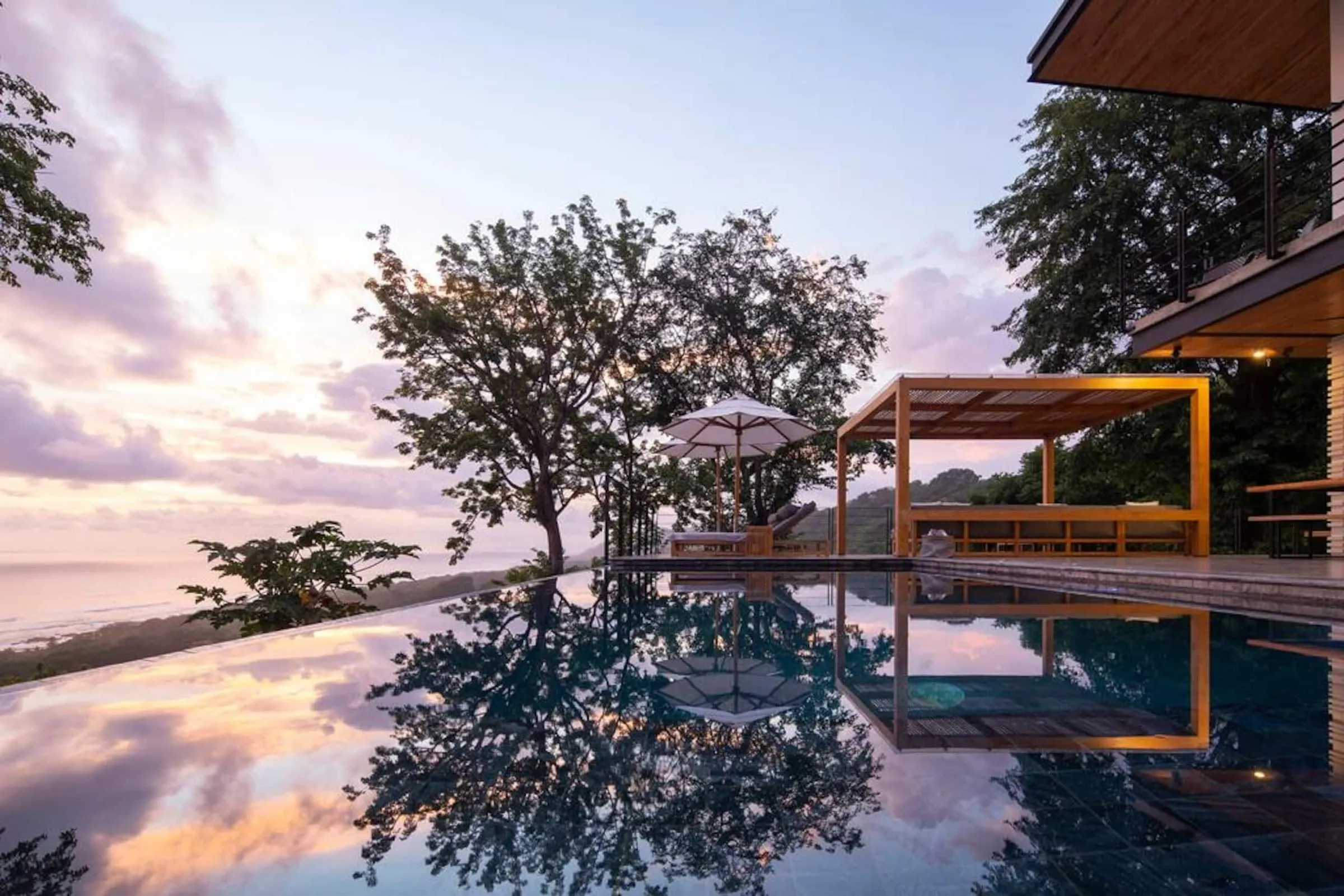Infinity pool at sunset with a tree silhouetted over the ocean